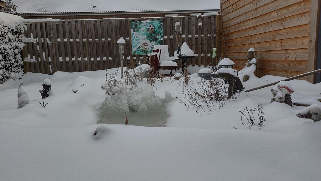 Vijver in de sneeuw