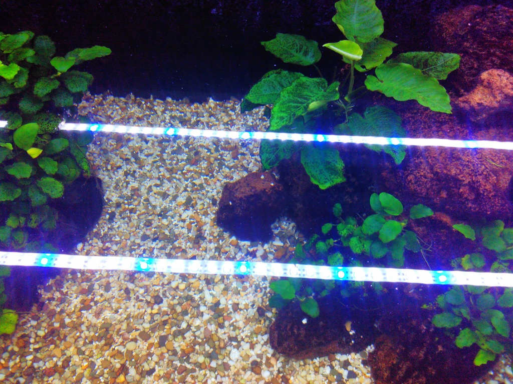 reflectie van twee led strips in het water